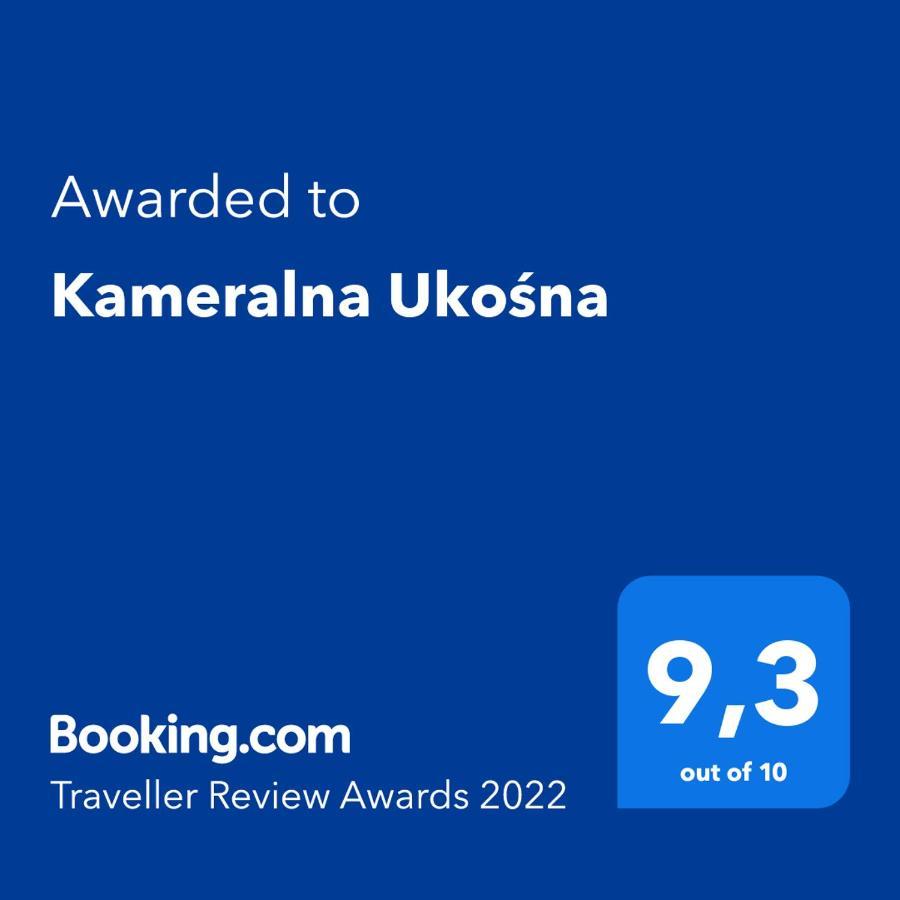 Апартаменты Kameralna Ukosna Белосток Экстерьер фото
